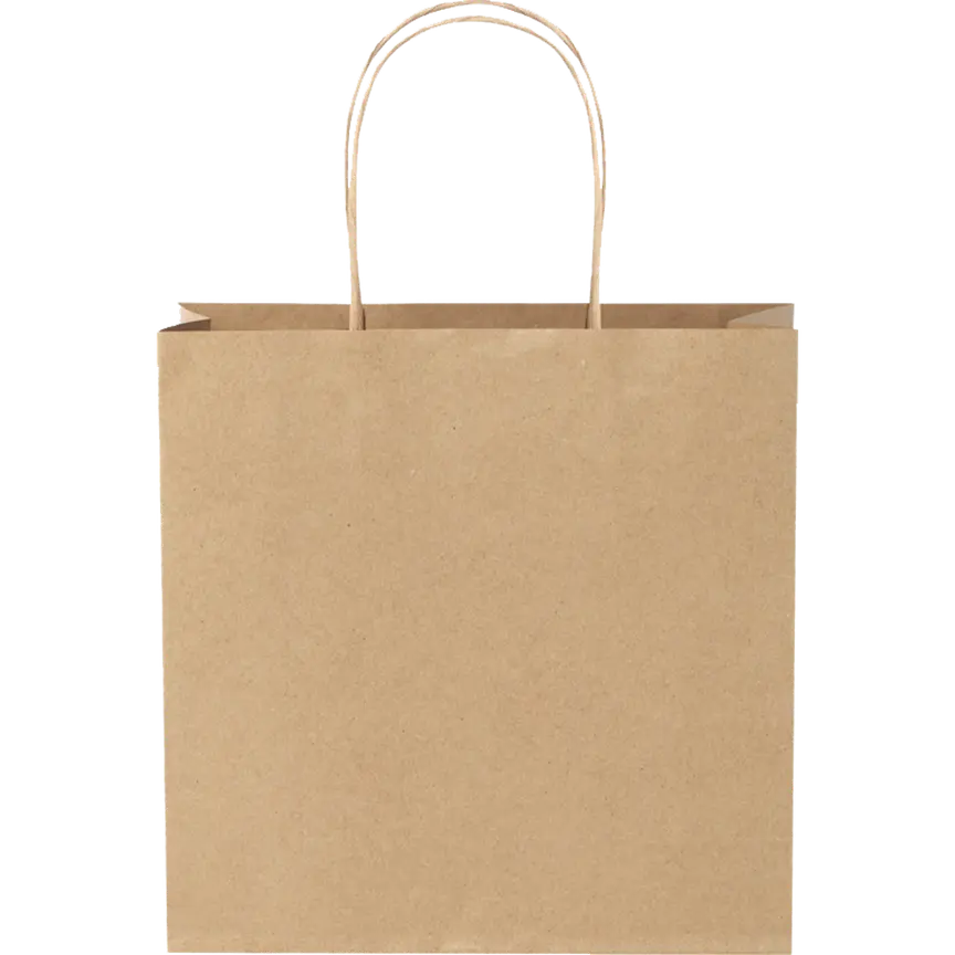 Papieren tas 120 g/m2 gemaakt van kraftpapier met gedraaide handgrepen de Bedrukwinkel